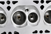 NEW CNC Ported LS1/LS6 Cylinder Heads .650 Springs 2.02/1.59 Valves PAIR