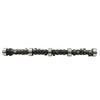 DNJ Engine Camshaft - CAM3101HP