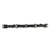 DNJ Engine Camshaft - CAM3101