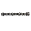 DNJ Engine Camshaft - CAM4243