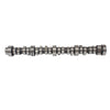 DNJ Engine Camshaft - CAM4308
