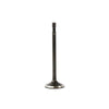 DNJ Engine Exhaust Valve - EV1102