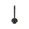 DNJ Engine Exhaust Valve - EV1176