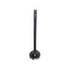 DNJ Engine Exhaust Valve - EV166