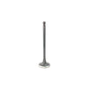 DNJ Engine Exhaust Valve - EV169