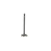 DNJ Engine Exhaust Valve - EV3139B