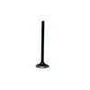DNJ Engine Exhaust Valve - EV3242