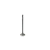 DNJ Engine Exhaust Valve - EV343A