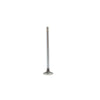 DNJ Engine Exhaust Valve - EV4214