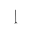DNJ Engine Exhaust Valve - EV4223