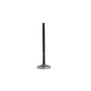 DNJ Engine Exhaust Valve - EV4229