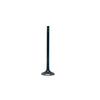 DNJ Engine Exhaust Valve - EV4235A