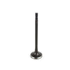 DNJ Engine Exhaust Valve - EV4242