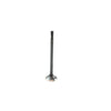 DNJ Engine Exhaust Valve - EV4256