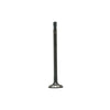 DNJ Engine Exhaust Valve - EV4291