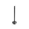 DNJ Engine Exhaust Valve - EV4305