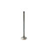 DNJ Engine Exhaust Valve - EV4309A