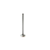 DNJ Engine Exhaust Valve - EV4309