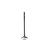 DNJ Engine Exhaust Valve - EV4312