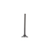 DNJ Engine Exhaust Valve - EV4345A