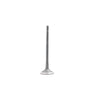DNJ Engine Exhaust Valve - EV4347A