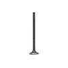 DNJ Engine Exhaust Valve - EV4373