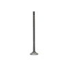 DNJ Engine Exhaust Valve - EV4444
