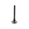 Valves Exhaust For Audi 2.8L 12V SOHC (AAH), Year:92-95