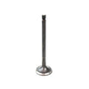 VALVES  EXHAUST 01-10 GM/Scion/Toyota 2.0/2.4L 16V DOHC (1AZFE,2AZFE,2AZFXE)