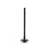 DNJ Engine Exhaust Valve - EV955