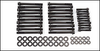 HEAD BOLT KITS 98-10 Chry/VW 3.2/3.5/4.0L 24V SOHC (CGVA,EGW)